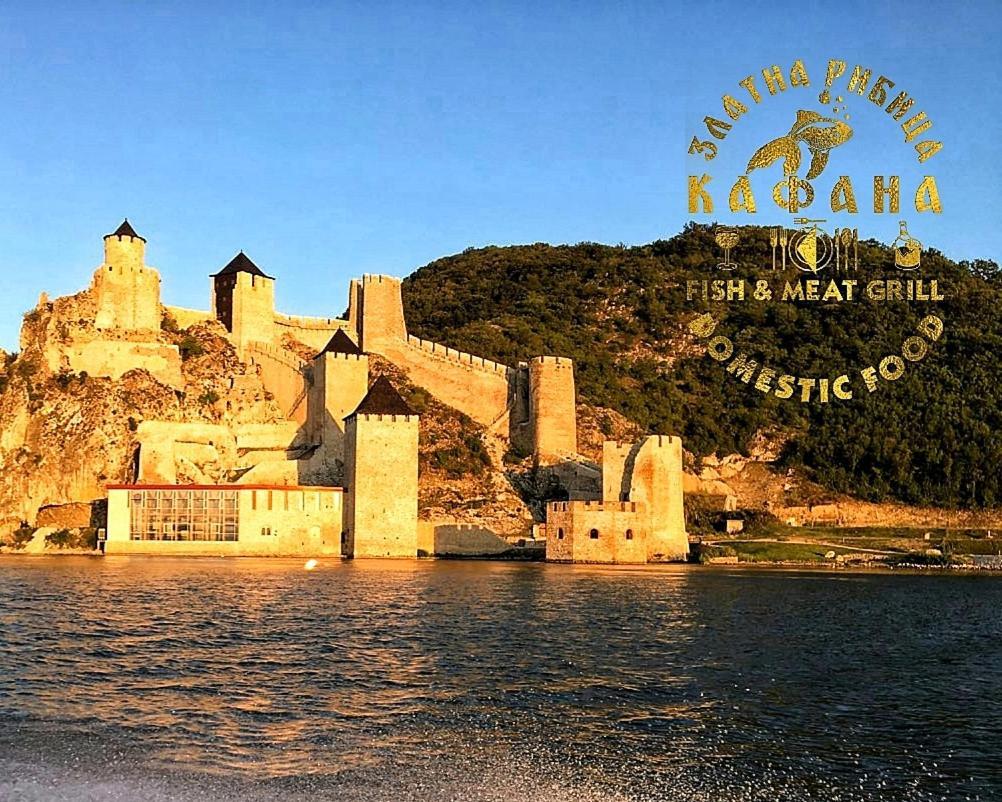 Apartamento Zlatna Ribica Golubac Exterior foto